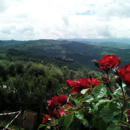 Poggio Al Vento Guest House กัสตีลีโยเน ดิ ออร์ชา ภายนอก รูปภาพ