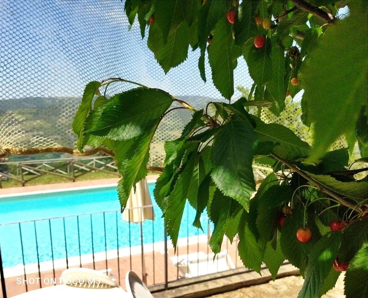 Poggio Al Vento Guest House กัสตีลีโยเน ดิ ออร์ชา ภายนอก รูปภาพ