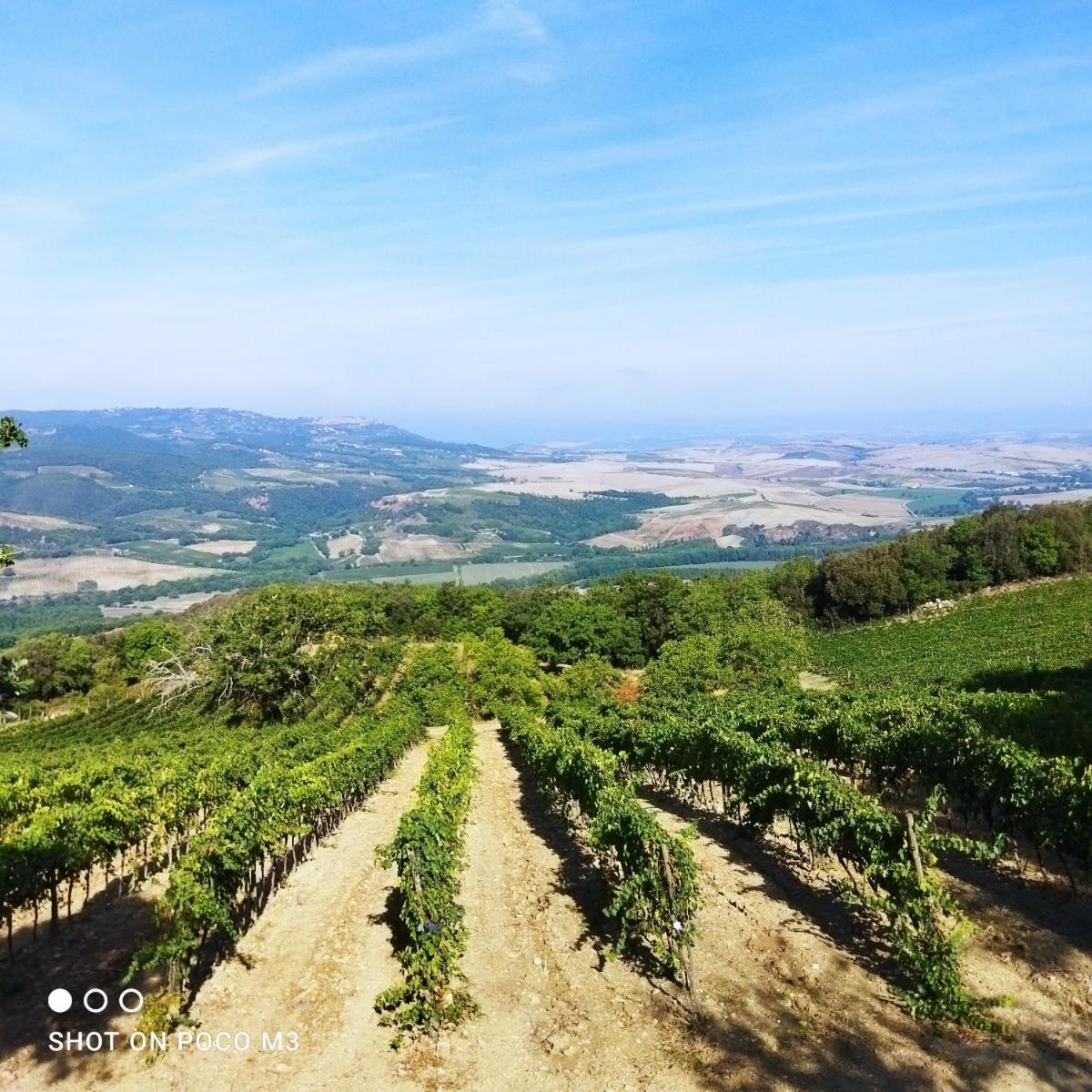 Poggio Al Vento Guest House กัสตีลีโยเน ดิ ออร์ชา ภายนอก รูปภาพ