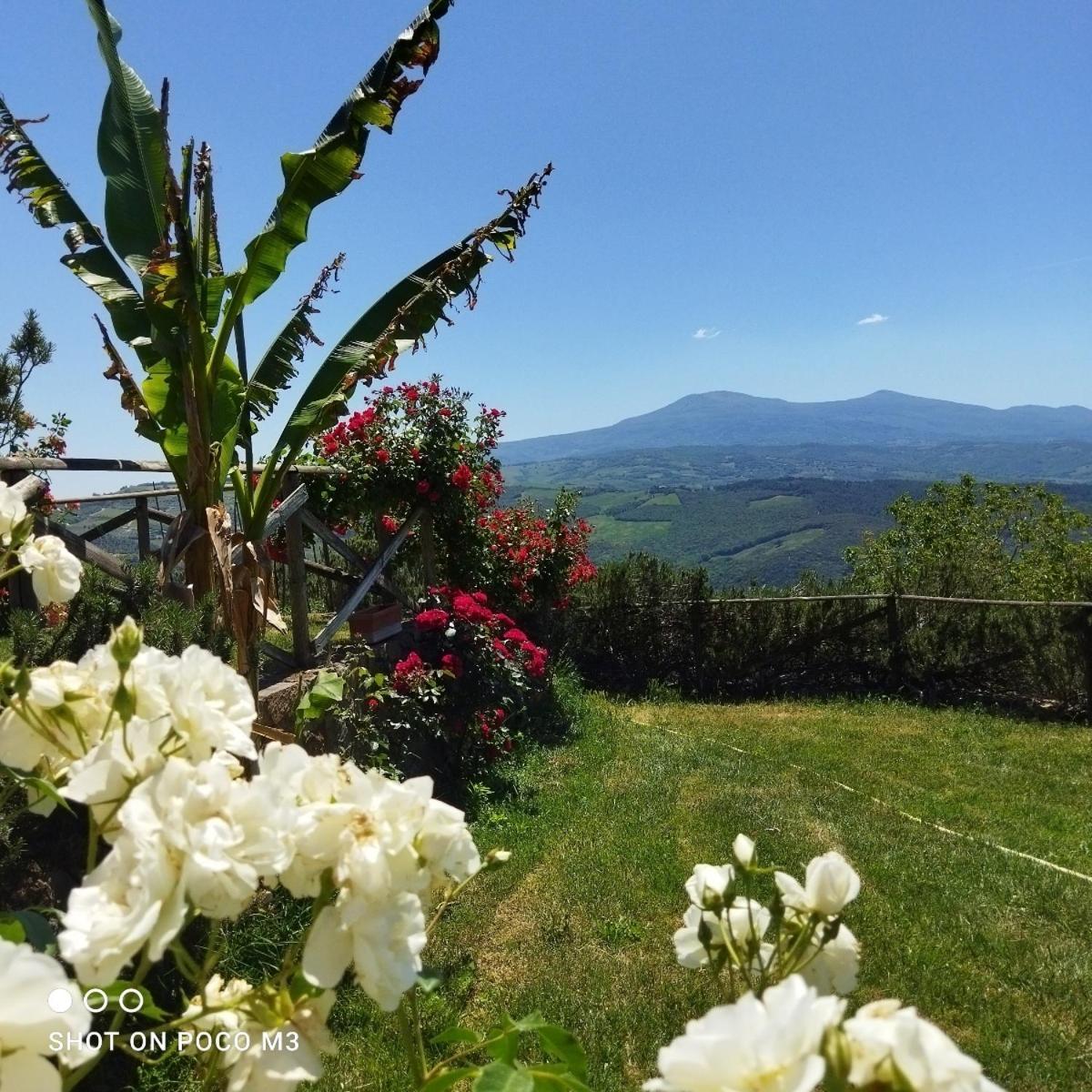 Poggio Al Vento Guest House กัสตีลีโยเน ดิ ออร์ชา ภายนอก รูปภาพ