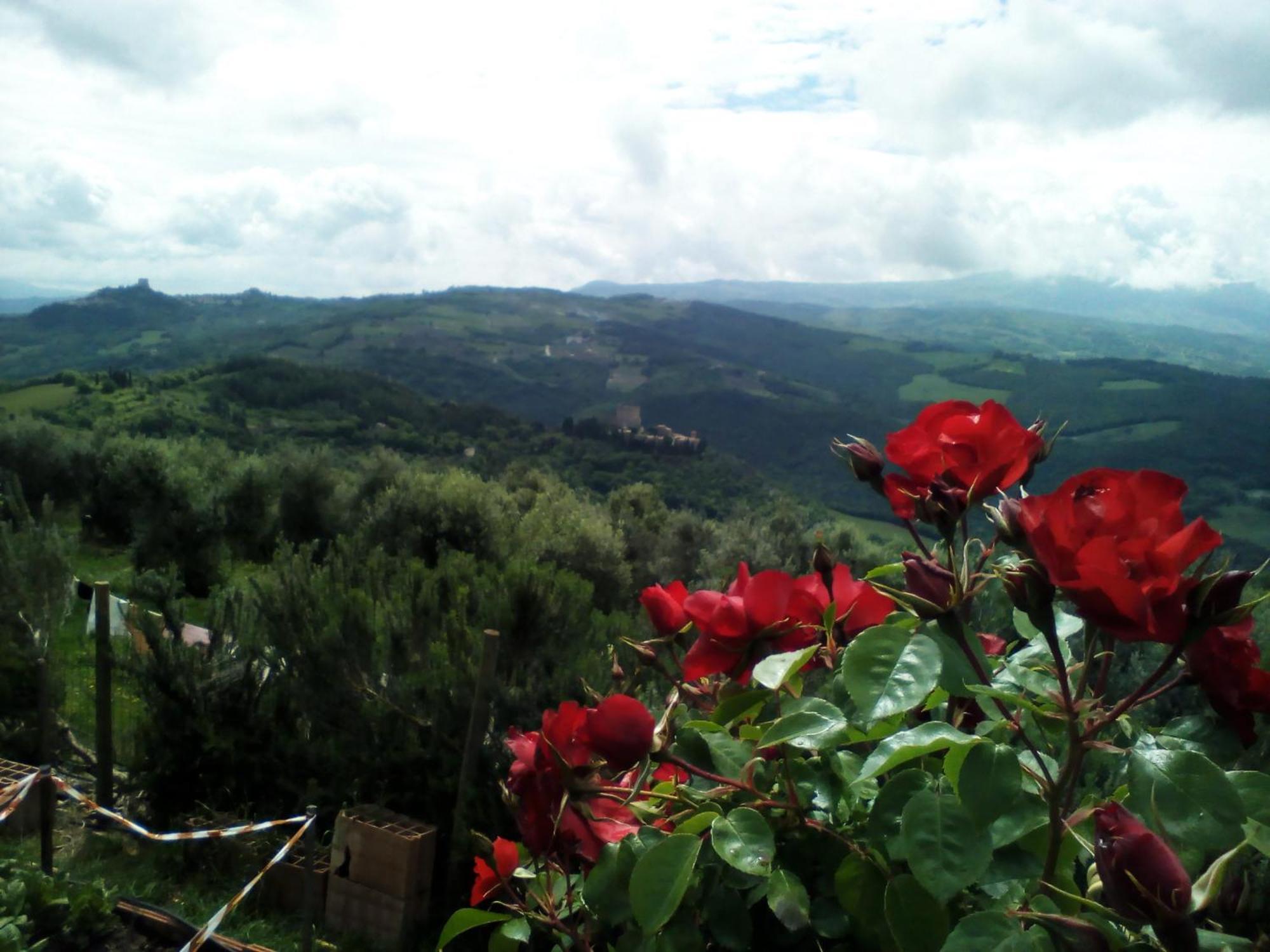 Poggio Al Vento Guest House กัสตีลีโยเน ดิ ออร์ชา ภายนอก รูปภาพ