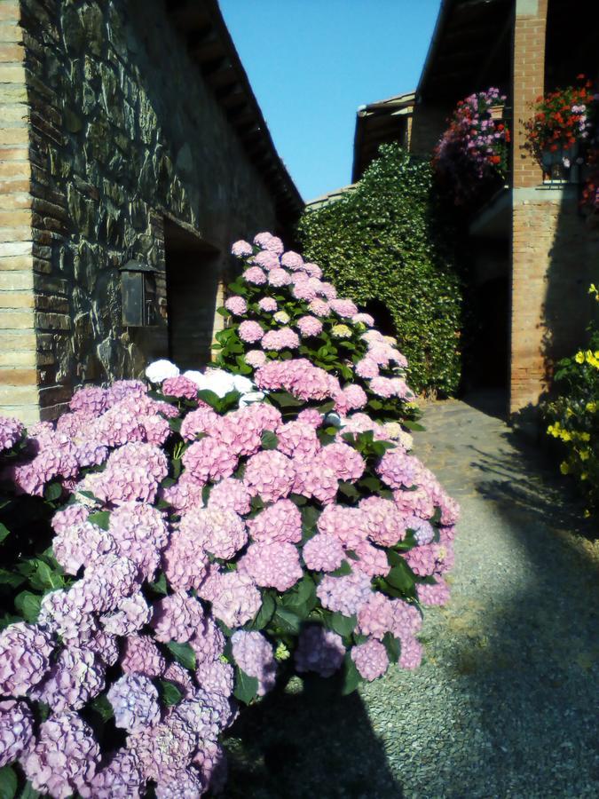 Poggio Al Vento Guest House กัสตีลีโยเน ดิ ออร์ชา ภายนอก รูปภาพ